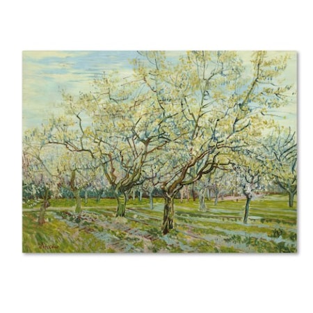 Van Gogh 'The White Orchard' Canvas Art,14x19